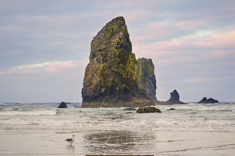 oregon-beach